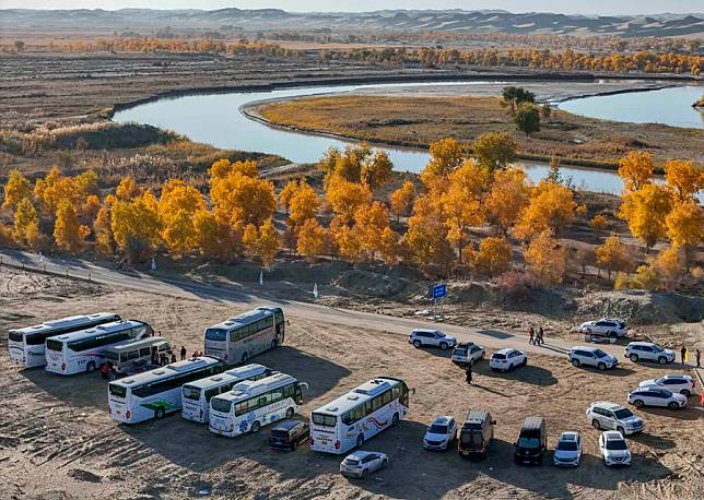 An aerial drone photo taken on Oct. 26, 2024 shows tourist buses and vehicles parking at the Huludao (Gourd Island) scenic spot in Yuli County, northwest China's Xinjiang Uygur Autonomous Region. (Xinhua/Hu Huhu)