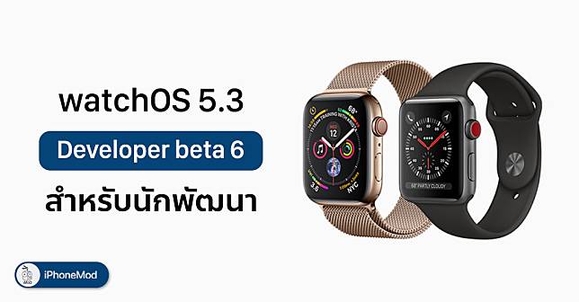 Apple Release Update Watchos 5 3 Beta 6 Developer