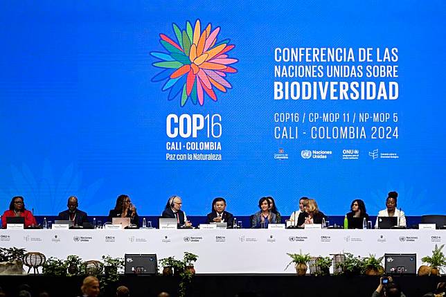 The 16th meeting of the Conference of the Parties to the UN Convention on Biological Diversity (COP16) is held in Colombia's southwestern city of Cali, Oct. 21, 2024. (Xinhua/Li Muzi)