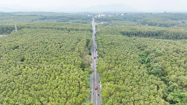 An aerial drone photo taken on Dec. 29, 2024 shows the Qiongzhong section of a ring road surrounding the national tropical rain forest park in south China's Hainan Province. (Xinhua/Zhang Liyun)