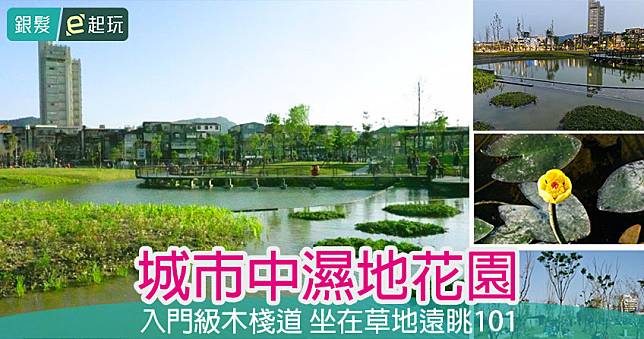 敬老卡坐捷運|新新公園:南港打造水上棧道,城市中的絕美濕地生態公園