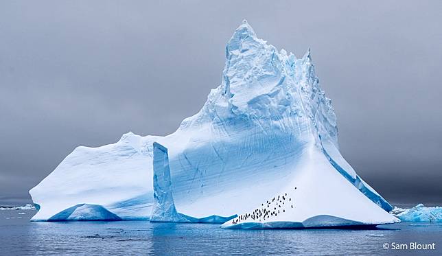 Penguin Playground by Sam Blount ／ AGNPOTY