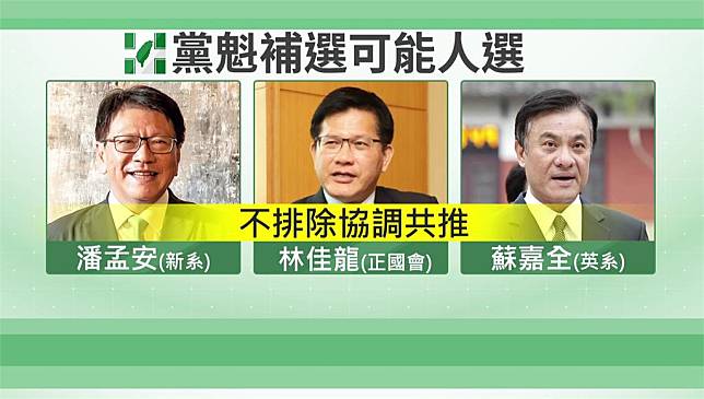 民進黨魁補選可能人選。圖／台視新聞