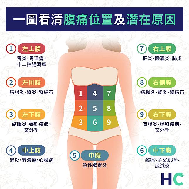 【HC疾病百科】一圖看清 肚痛隱含可能的疾病