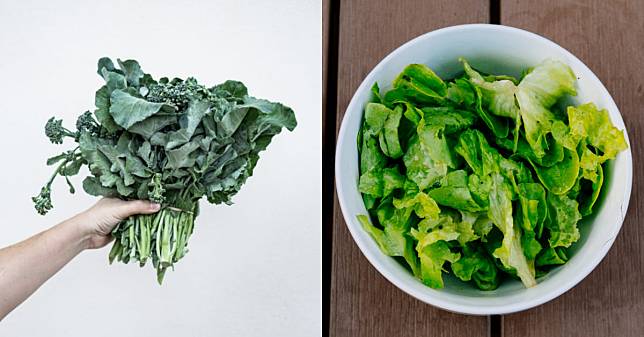 吃「燙青菜」不一定比較瘦！營養師破解青菜熱量秘辛，豆芽菜ｘｘ大卡是肥胖兇手、低熱量冠軍是它