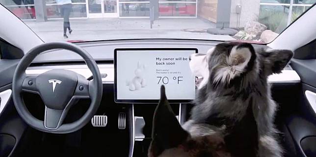 Tesla เอาใจคนรักสัตว์ด้วย “Dog Mode” ให้เจ้าของอุ่นใจเมื่อทิ้งสัตว์เลี้ยงไว้ในรถ