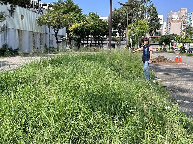 鄉親反映南市水溝沒有定期清疏、路街道雜草無人聞問，環境衛生不佳才導致登革熱疫情一發不可收拾，市長的哈佛公衛專業在那。（姚正玉提供）