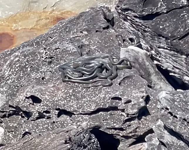 ▲卡琳一家人在海邊岩石上發現有12條蟒蛇盤纏在一起，畫面相當詭異。（圖/翻攝自Sutherland Shire Snake Sightings臉書社團）
