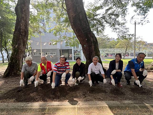 台灣工藝研究發展中心主任張仁吉（右三）等人共同為老鳳凰樹鬆土，守護老樹健康。（記者張瑞惠攝）