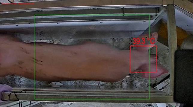 「豬來寶」團隊打造母豬健康監測平台，運用AI技術進行影像辨識，判斷豬隻個體與頭部部位，進而量測母豬的體表溫度，了解健康狀況，圖為示意圖。（豬來寶團隊提供）中央社記者蘇思云傳真 111年10月2日  
