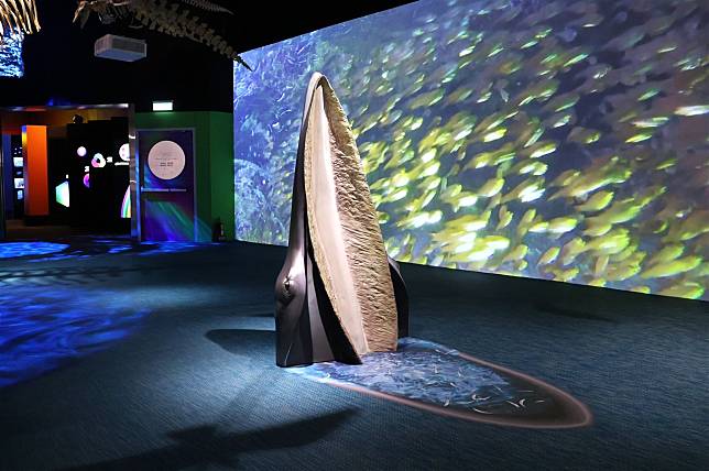 國立自然科學博物館與海洋委員會海洋保育署共同簽署MOU，加強推動海洋生物保育與科學教育。（國立自然科學博物館提供）