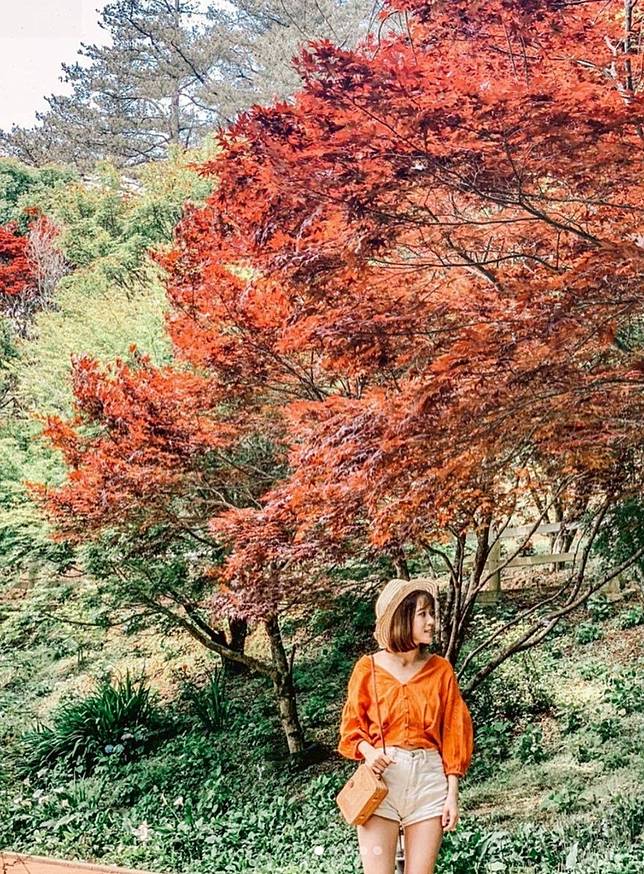 （圖 福壽山農場/ IG-<a href=