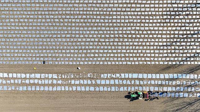 An aerial drone photo taken on Feb. 18, 2025 shows a seeder equipped with the BeiDou Navigation Satellite System sowing in a field in Lintingkou Town, Baodi District, north China's Tianjin Municipality. (Xinhua/Sun Fanyue)