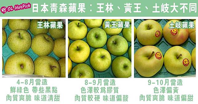 日本青森蘋果有不同種類，「王林」、「黃王」和「土岐」蘋果如何分辨？（明報製圖）
