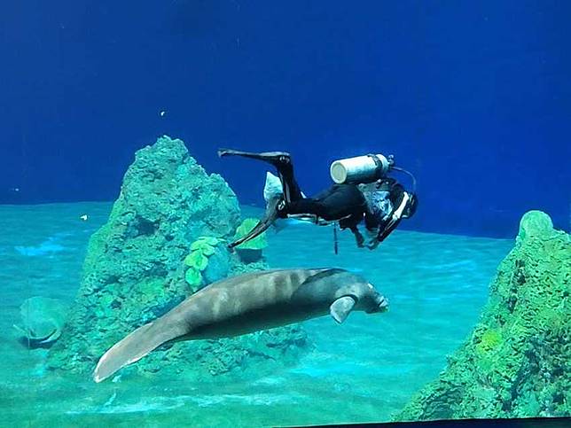 圖片來源：IG @q223362425