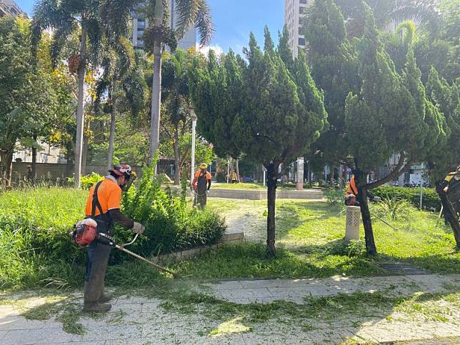 竹市龍山里長張文興通報清除公園雜草