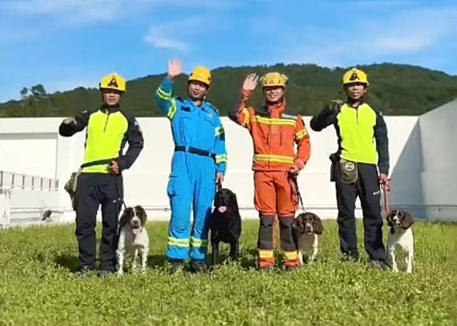 消防處4隻搜救犬同火警調查犬將退下火線。