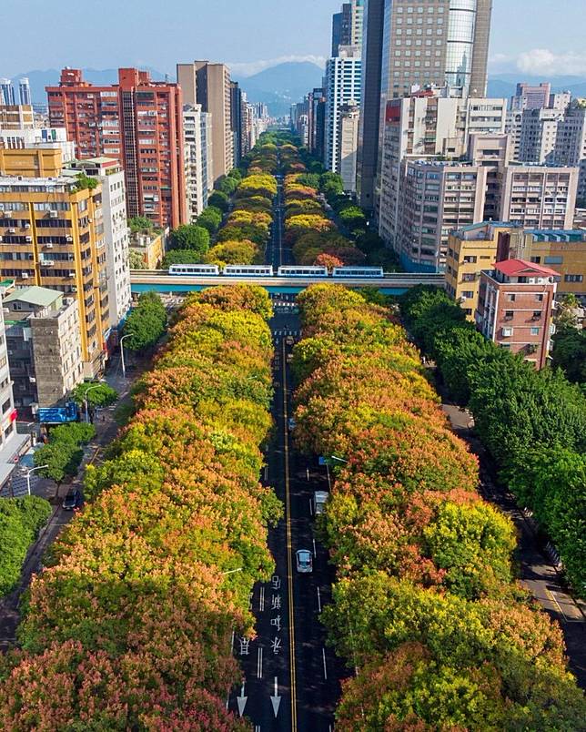 ▲圖片來源：IG@weichang_wu