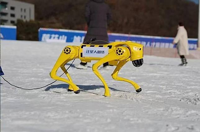 A robotic dog performs at the ski resort of Lianhuashan in Changchun, northeast China's Jilin Province, Nov. 22, 2024. (Xinhua)