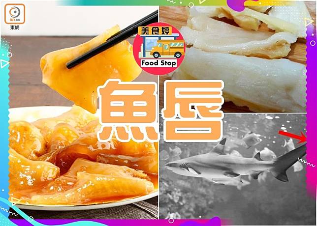 美食婷：乜魚唇唔係魚嘴？（互聯網）