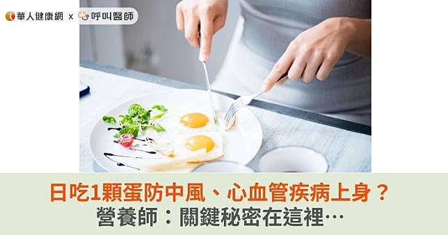 日吃1顆蛋防中風、心血管疾病上身？營養師：關鍵秘密在這裡…