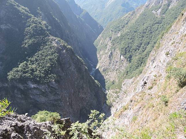 太魯閣的峽谷與高山地形，對許多植物的生長及傳播是跨越不過的鴻溝，形成天然的阻隔，因此許多植物便在 小區域的範圍中長期演化，逐漸演化出太魯閣的特有植物。 中央社記者李先鳳攝 110年6月14日  
