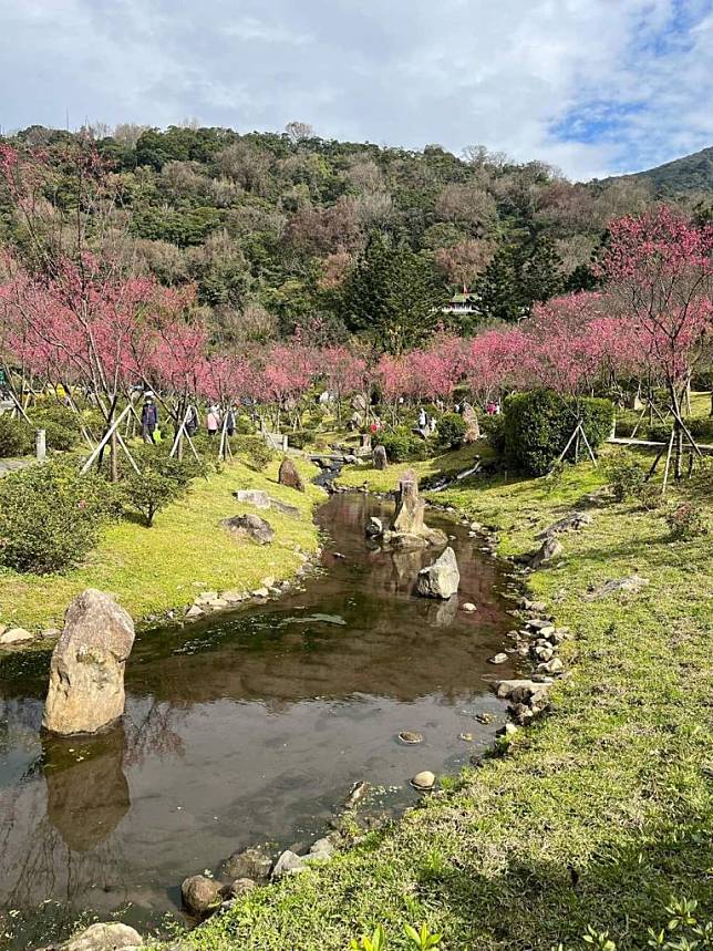 陽明山花季。（中華旅行社提供）