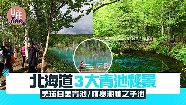 北海道3大青池秘景 美瑛白金青池/阿寒湖神之子池/富良野鳥沼公園