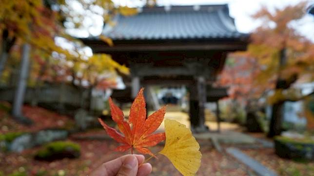 山形 南陽珍藏寺