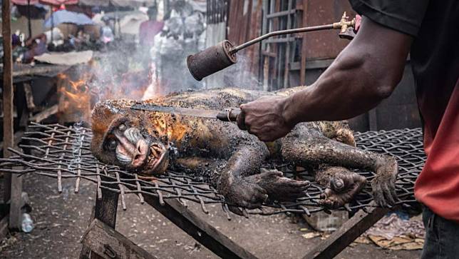 年度自然攝影師大賽「人與自然」獎項「高度推薦」作品。© Gerard Carbonell／NPOTY 2024