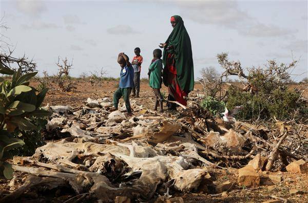 索馬利亞婦女帶著孩子走在死於乾旱的牲畜骸骨旁。路透社