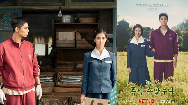 （封面圖源：Netflix《苦盡柑來遇見你》劇照＆海報）