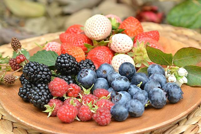 小農藍莓之路 02》呼密農場生鮮＋觀光，藍莓、黑莓、覆盆莓、草莓成「莓果樂園」