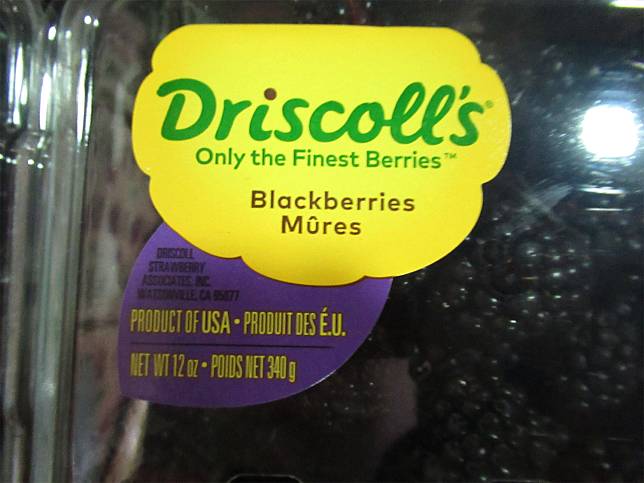 高雄前鎮區好市多進口之「DRISCOLL'S黑莓」被檢出殺蟲劑殘留不符我國規定，331公斤貨品全數退回或銷毀。   圖：食藥署／提供