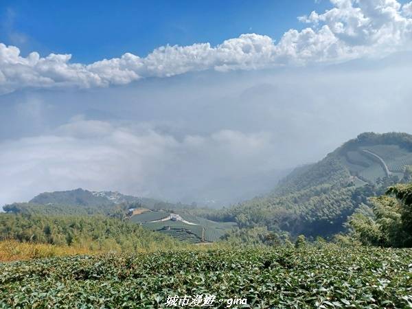 【嘉義梅山】NEUTRAL 防潑水皮革拼接氣墊鞋~悠閒踏青趣