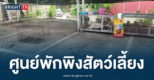 ทาสหมดห่วง! กรมปศุสัตว์ เชียงราย ลงพื้นที่ ช่วยเหลือสัตว์เลี้ยง ประสบภัย