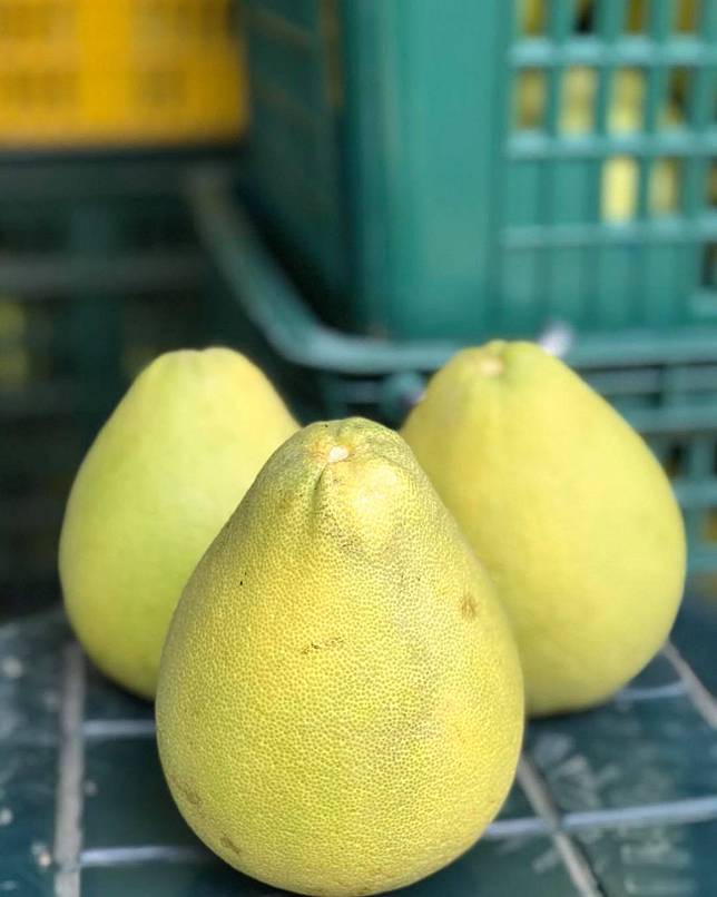 ▲文旦產季即將到來，愛吃文旦的朋友準備好了沒？？（圖/奧丁丁市集）