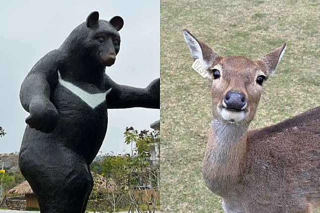 鄒族逐鹿文創園區即日起開幕（周羿庭攝）