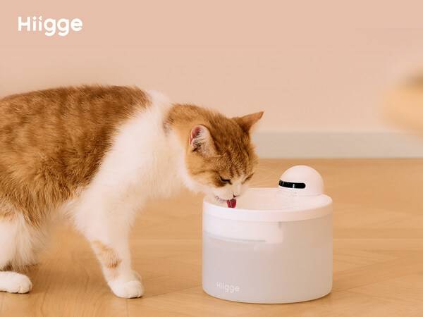 Hiigge Snowball Pet Fountain