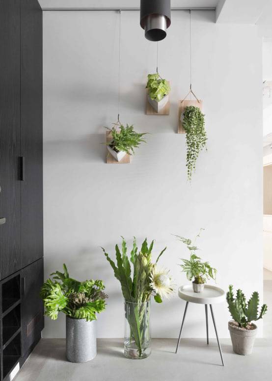 
11.這是小編最喜歡的一款設計，組合式植物牆。如果你感覺家裡過於沈悶，不妨多放一些綠色植物！比如這樣充滿生命力的植物牆，試想一下，當你一進門就可以看到滿眼的綠色，心情一定會變好很多吧～

延伸閱讀：<a href=