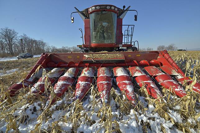 Chinese agricultural firms are looking to expand into Russia in the hope of boosting supplies. Photo: Reuters