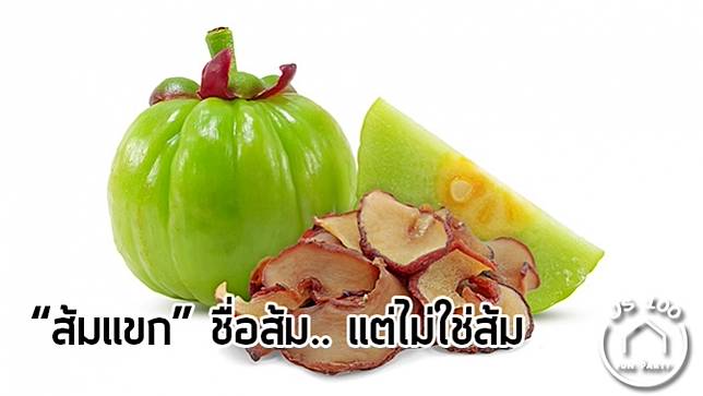 รู้จักประโยชน์ของ “ส้มแขก” ชื่อส้ม.. แต่ไม่ใช่ส้ม