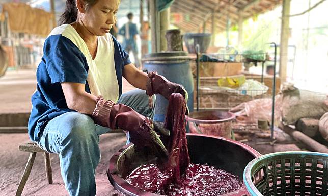 介殼蟲人見人嫌，但紫膠介殼蟲、胭脂蟲是美麗染料，台灣差點發展介殼蟲產業？