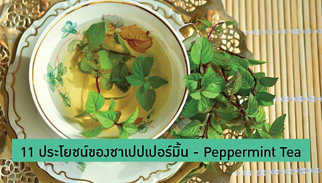 11 ประโยชน์ของชาเปปเปอร์มิ้น (สะระแหน่) Peppermint Tea