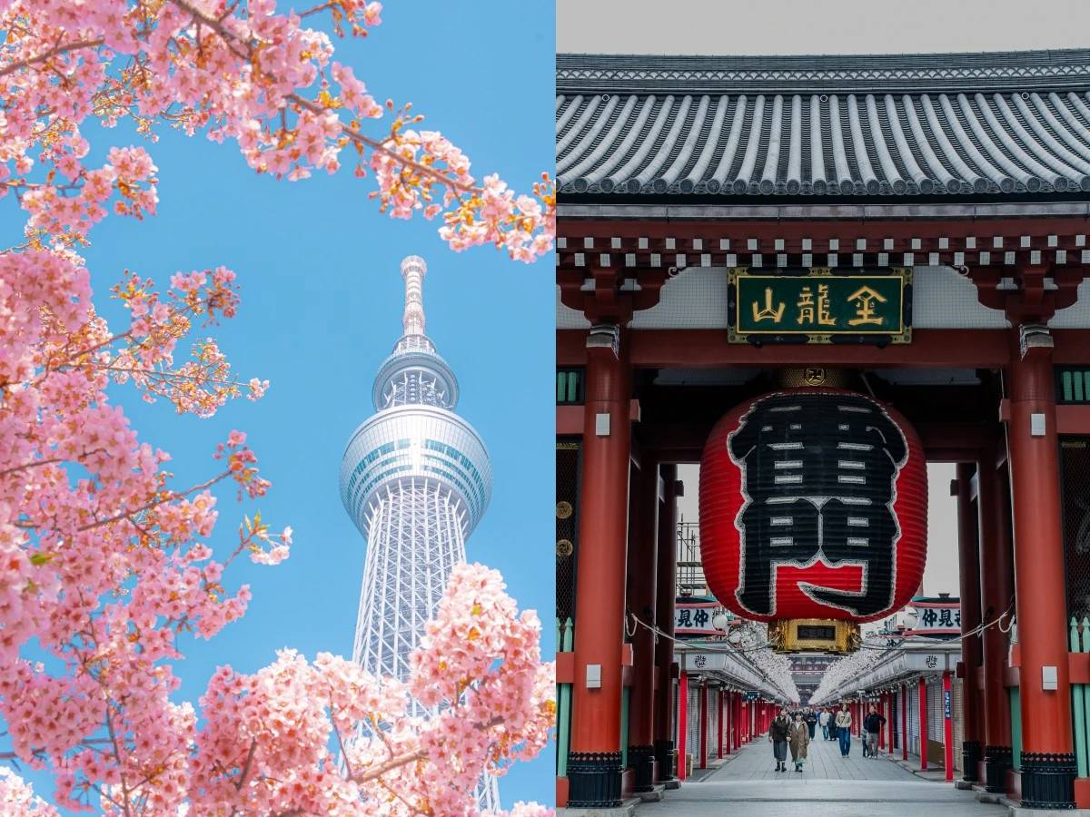 2026日本打工度假簽證「開放申請第2次」！日台交流協會公告出爐，30歲也來得及 | 女人我最大 | LINE TODAY