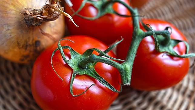 青色番茄含有龍葵鹼 ，吃了會中毒？錯！流傳許久的內容農場文別再轉發(圖片來源：https://pixabay.com)
