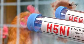 ปศุสัตว์ ยืนยัน ไม่พบการระบาดโรคไข้หวัดนก ชนิด H5N1 ในไทย