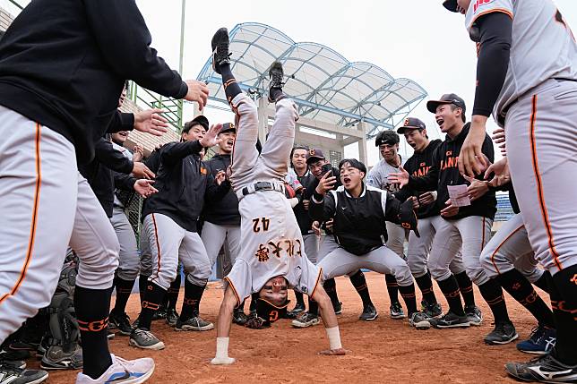 文化大學慶祝第8勝入袋。大專體總提供