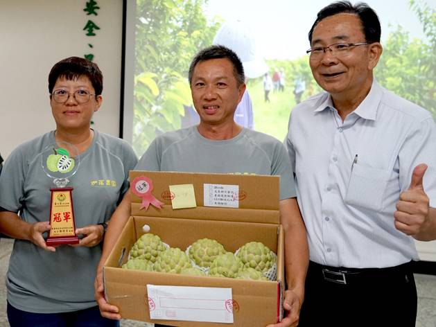 台東農改場辦理番荔枝優質果園評鑑競賽，由葉心言奪得冠軍。（記者鄭錦晴翻攝）