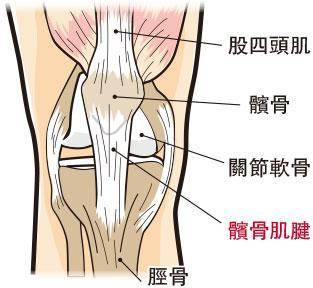 （明報製圖）